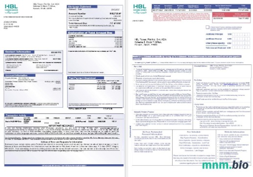 Pakistan Habib wyciąg z kredytu hipotecznego w formatach Word i PDF, 3 strony 1-2
